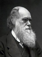 www.H2O-Consult.de - Charles Darwin, Naturforscher, Begründer der Evolutionstheorie